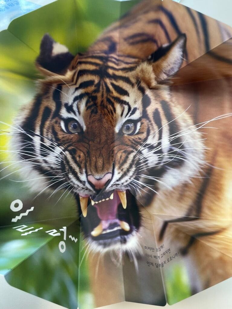 아람이랑 호랑이
