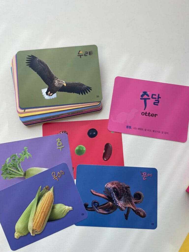 아람이랑 동식물카드